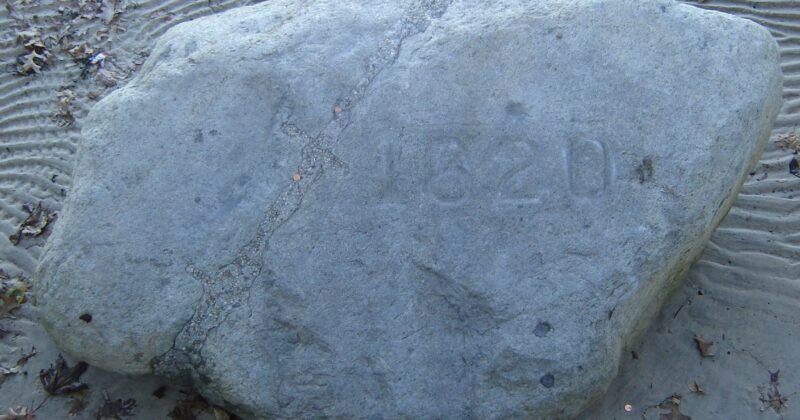 Plymouth Rock