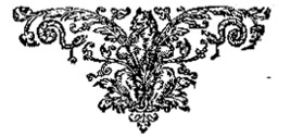 Brewster mark